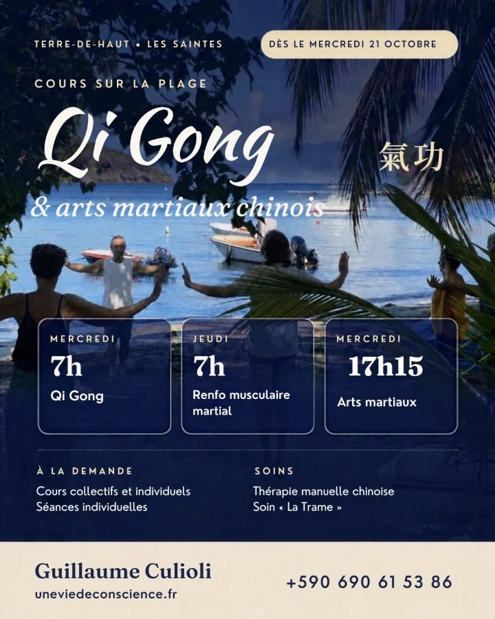 Cours de Qi Gong et d'arts martiaux chinois sur la plage de Terre-de-Haut, aux Saintes