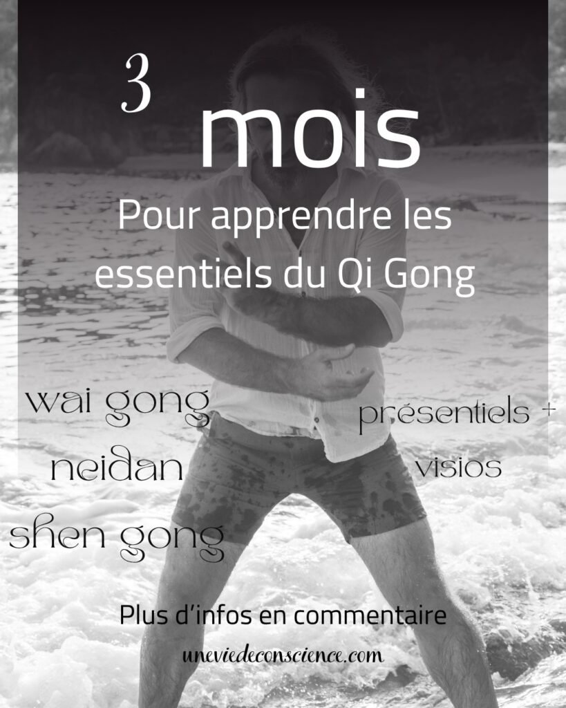 Formation Qi Gong de 3 mois : wai gong, neidan, shen gong
